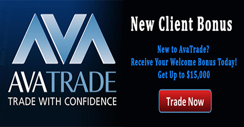 Top Forex Brokers